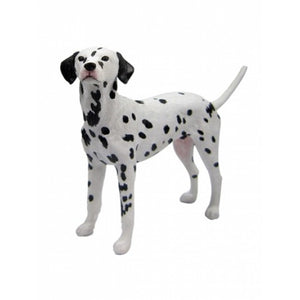 Custom Spotty Dog Bobblehead