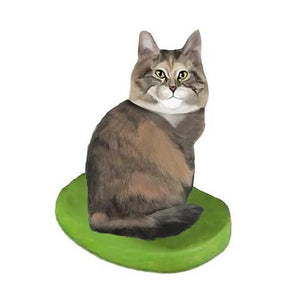 Custom Maine Coon Cat Large bobbleheads