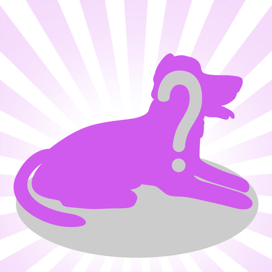 Create Your Own Pet Bobblehead