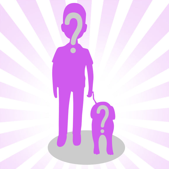 Create Your Own Bobblehead With A Pet